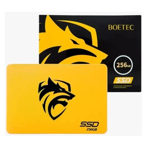 DISCO SOLIDO 256GB BOETEC (75.00 INSTALADO)